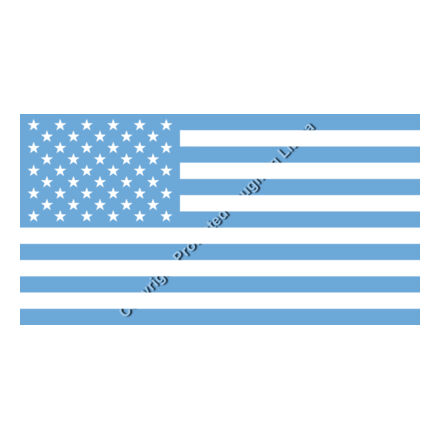 Carolina Blue American Flag for Sleeves Thumbnail